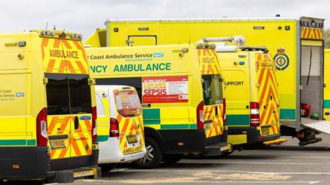 A line of five ambulances of varying sizes parked in a car park.
