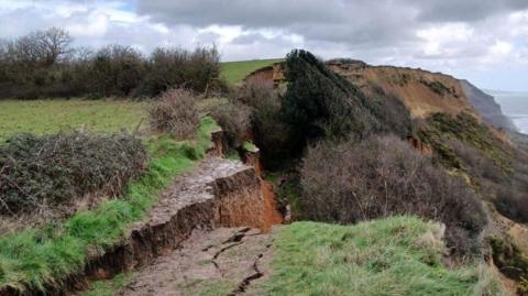 A section of collapsed cliff viewed from a grassy clifftop where there are large cracks in the earth and vegetation which has slipped down the cliff face.