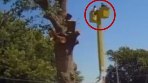 Two tree trimmers are seen with a red circle circled around them.