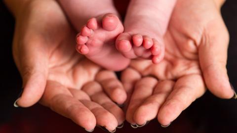 The feet of a baby being supported by the open palms of a woman's hands.