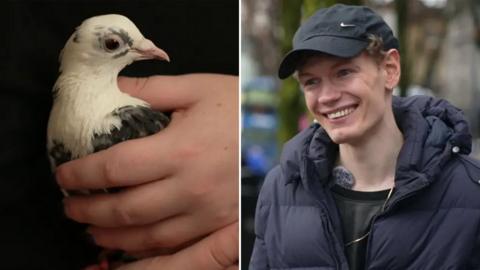 A split image of a pigeon and a man