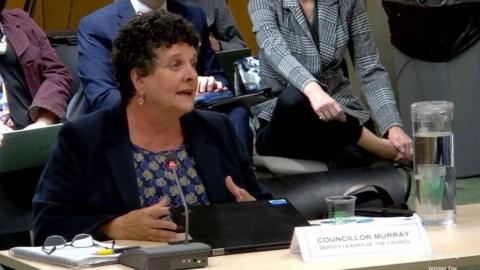 Labour councillor Teresa Murray, wearing a blue dress and dark jacket, speaks at a Medway Council meeting.