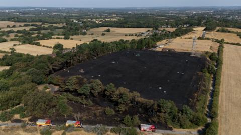 An aerial image of an area of grassland that is completely black due to a fire. Surrounding it are a boundary of large green trees. on a small road nearby are three red and yellow fire engines