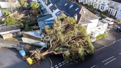 Tree fallen on a house in Cornwall.