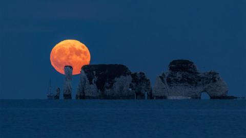 The Strawberry Moon appears orange over cliffs in Dorset