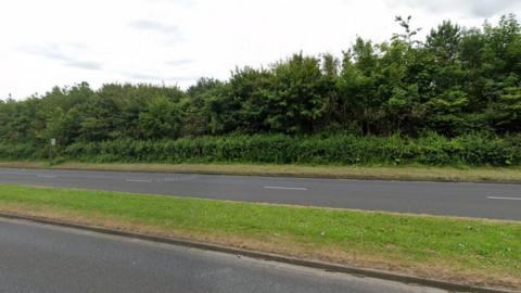 A stretch of road with hedges on the side