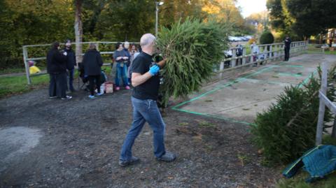 A male contestant flinging a Christmas Tree at Catsfield Christmas Tree Farm near Battle, East Sussex. A man can be seen in a t-shirt and jeans throwing a Christmas tree onto clearly marked concrete. The man is wearing rubber gloves.