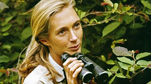 Jane Goodall appears amongs the leaves of the rainforest holding a pair of binoculars.