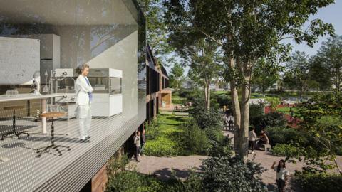 A woman is looking outside the window of a lab at a green space. There are people coming out of the building or sitting around. A sunny day is pictured.