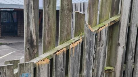 A wooden panel fence with several panels broken and missing