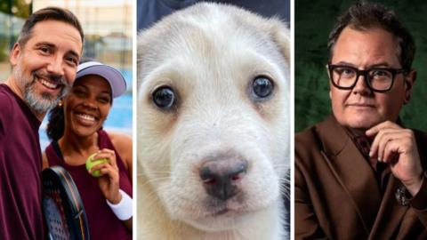 Montage: couple playing padel, a puppy, Alan Carr