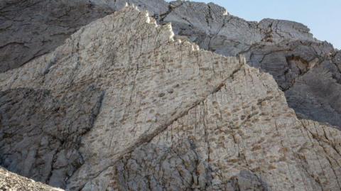 A mountain wall full of dinosaur footprints.