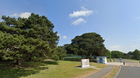 Large trees in leaf at Poole Park on a sunny day, with an area of grass alongside a road.
