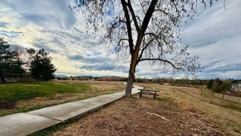 A burned tree near a concrete path surrounded by brown and green grass in a park. There is a picnic table under the tree