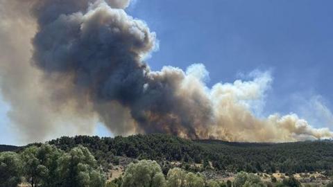 Large plumes of grey and white smoke rises into the blue sky in a forest in Turkey's central Eskisehir province