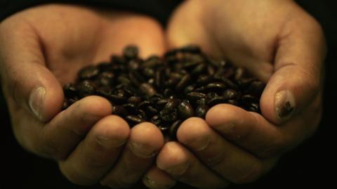 Coffee - a Hellish Brew