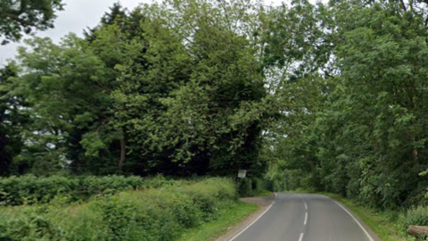 Rouncil Lane has trees and bushes wither side of it. 