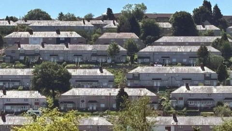 Rows of terraced housing in Townhill, with lots of green trees and a sunny blue sky overhead