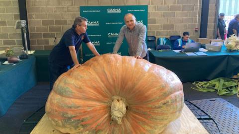 Two men lean against a giant pumpkin which is sat on a wooden board, with another man working at a laptop in the background, sat at a table with a green table cloth over it.