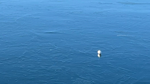 Golf ball on frozen water