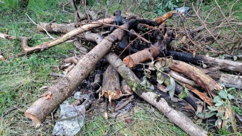 A pile of logs which are charred from having been set on fire. The logs are large and show signs they have just been cut down. They are lying in a pile on top of grass.