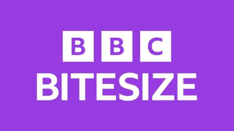 The words ̳ BITESIZE in white font on a purple background.