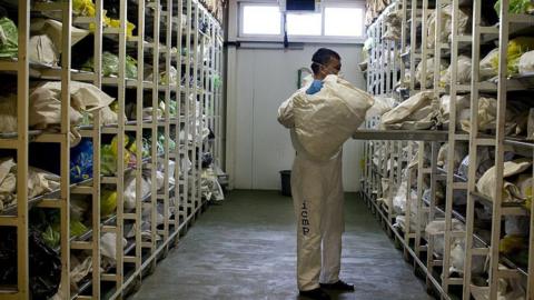 A man seen taking a body bag from a mass fridge area