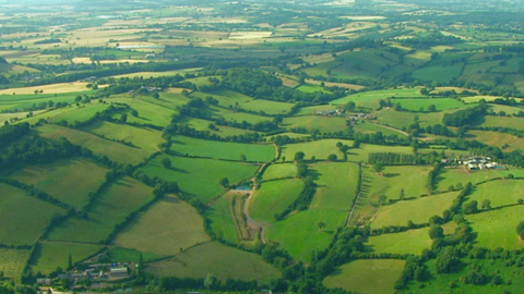 Aerial view of green countryside