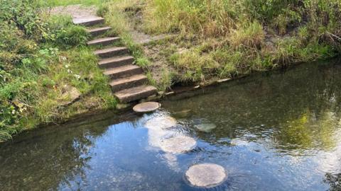 Stepping stones on the Hogsmill River, as well as concrete steps built into the riverbank.