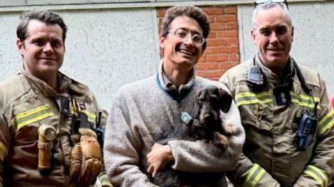 A group of firefighters lined up with the middle one holding the rescued dog. They are standing outside in front of a white wall and some greenery.