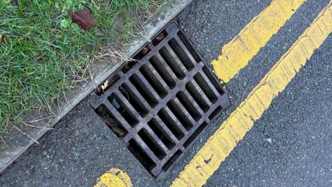 A drain cover next to a grass verge and double yellow lines markings