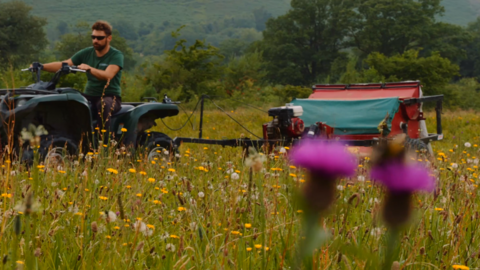 A field lush with yellow, white and pink wildflowers. A man on a quadbike is towing a red machine behind him.