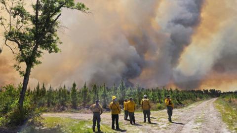 Firefighters with the Georgia Forestry Commission survey the Pineland Road Fire. The firefighters stand in the foreground, wearing yellow jackets and helments. Their backs are to the camera as they watch columns of wildfire smoke, glowing orange, soar hundreds of feet into the air.