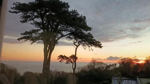 The sun rises over Torbay with horizontal orange stripes across the sky and silhouetted trees in the foreground 