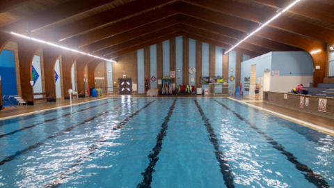 A swimming pool with blue tiles. The roof is wooden, and there are wood panels on the walls