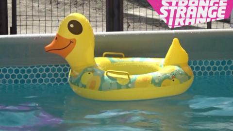 An inflatable duck on the water