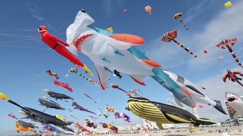 Kites that look like fish in the sky