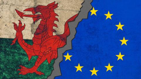 A half and half flag. The left has the Welsh flag and the right is the European Union