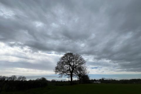 A lone tree in a green field under heavy grey clouds, creating a moody, unsettled scene in Knowle, Solihull