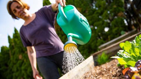 A woman watering plants in a raised bed using a green plastic watering can.