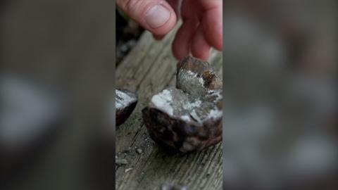 A hand next to a rock