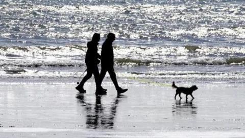 Two people walk with their small dog along the sand on the beach. 