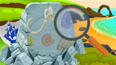 cartoon beach with a rock covered in fossils. a magnifying glass is looking at a fossil on the right