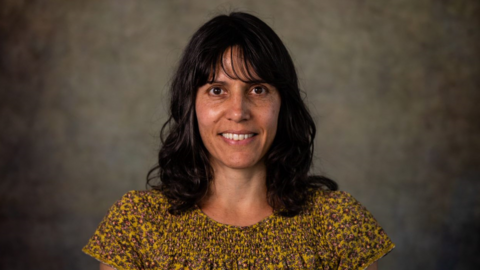 A picture of Prof Holly Joseph, who is wearing a yellow top and has black hair. She is smiling at the camera and is standing in front of a grey background.