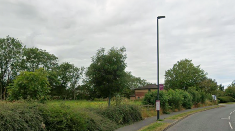 A Google Streetview image of a road with a piece of grassland to the left, surrounded by trees and hedges