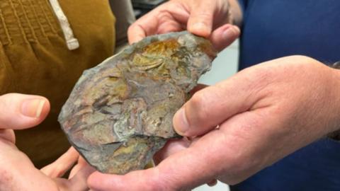 A fossil