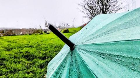 Umbrella in the rain