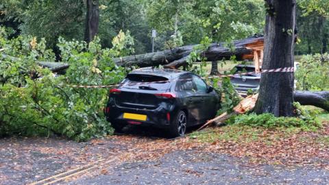 A black car underneath a fallen tree. A second car, which is grey, is parked in front of it. There is red and white striped tape across the tree and cars. 