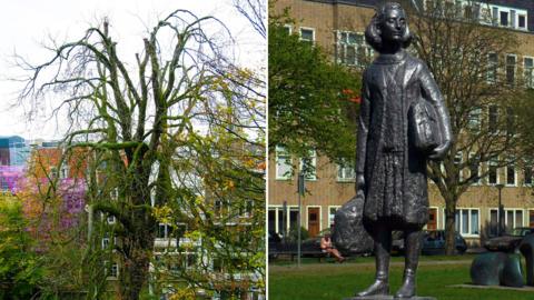 Chestnut tree in Amsterdam and a statue of Anne Frank