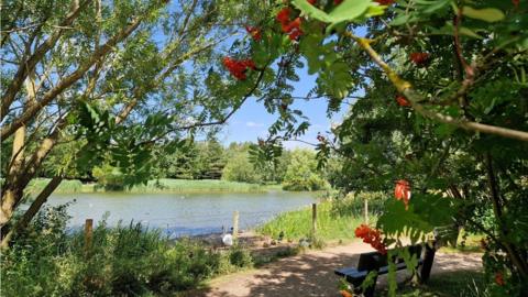 A path in front of a lake with blue sky peaking between the branches of trees in the foreground 